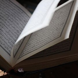 গ্যালারি